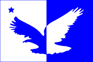 Bandeira Taguatinga DF