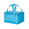 Bolsa Térmica em TNT de 10lt BT57