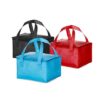 Bolsa Térmica em TNT de 10lt BT57