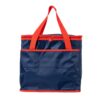 Bolsa Térmica Promocional de 33 litros BT55