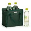 Bolsa Térmica Corporativa de 7lt BT52