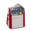 Bolsa Térmica para Comidas de 12 litros BT42