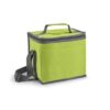 Bolsa térmica personalizada de 9 litros com alça BT47