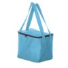 Bolsa Térmica Fitness